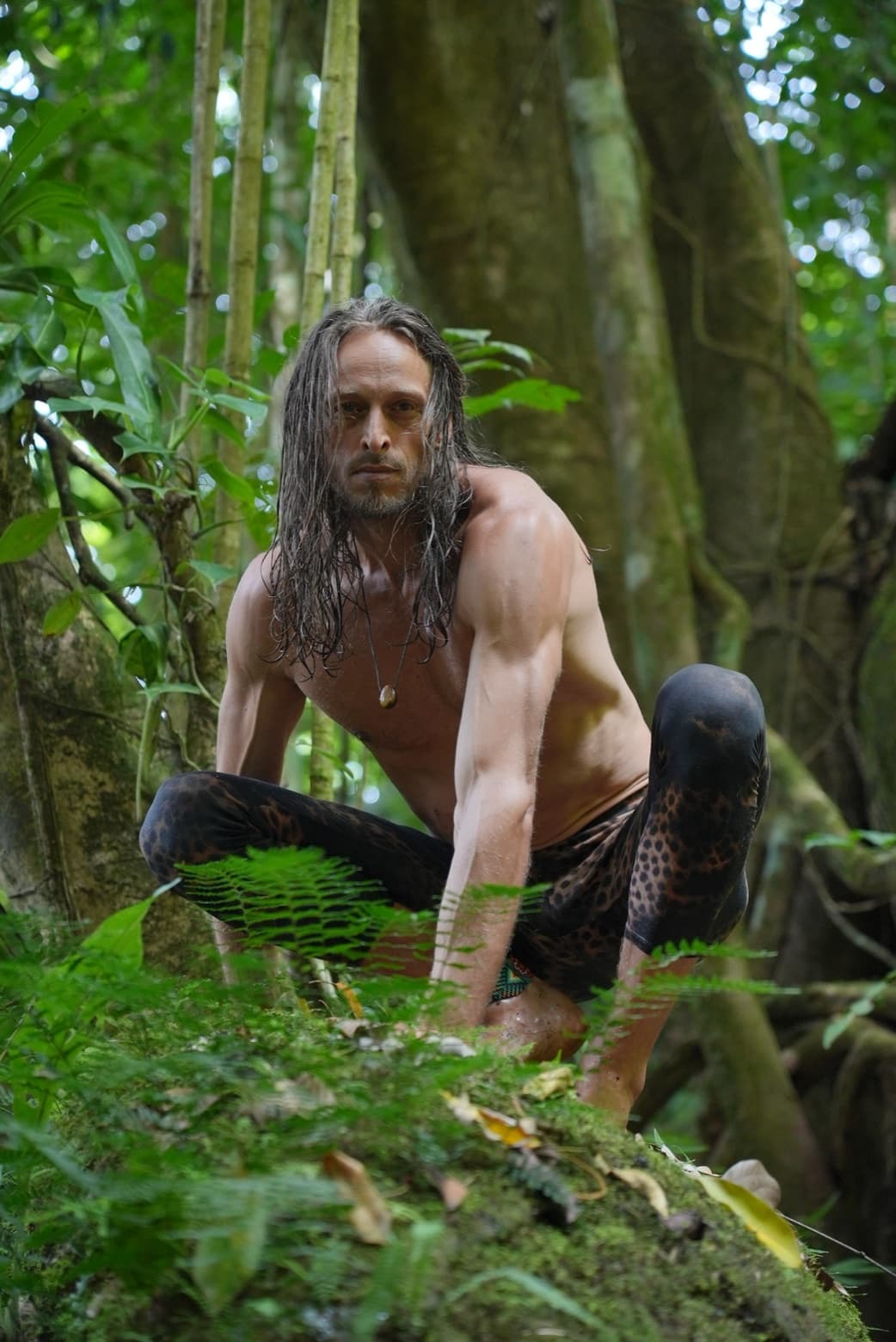 Low crouched animal stance among jungle ferns